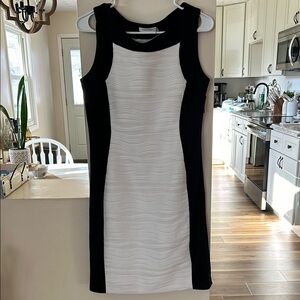 Calvin Klein Black and White Sleeveless Dress